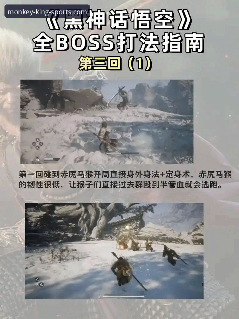 悟空体育平台充值方法完整指南：从入门到精通